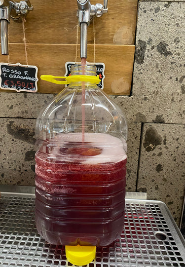 Raboso Rosato Veneto IGT Rabosello 5 Lt. - Rosato Vini